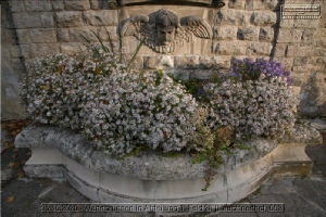 Brunnen dieser Stadt